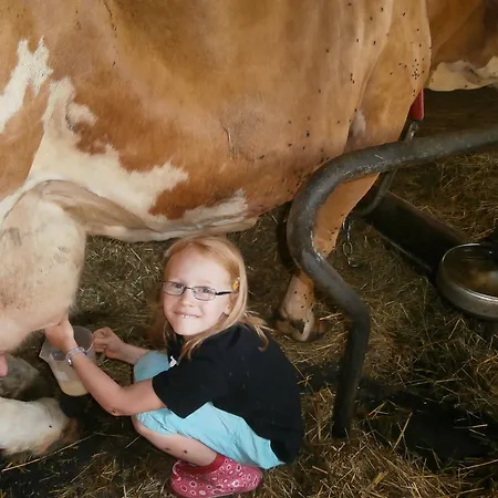 Farmház Reitbauernhof Ferner Mühlen