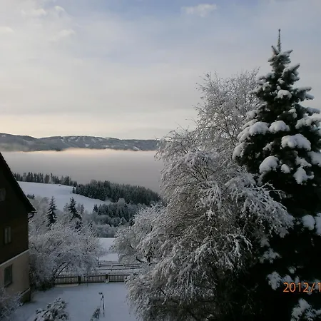 Bauernhof Reitbauernhof Ferner *