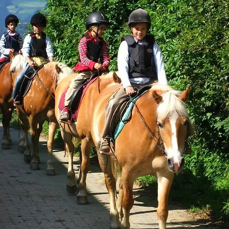Bauernhof Reitbauernhof Ferner